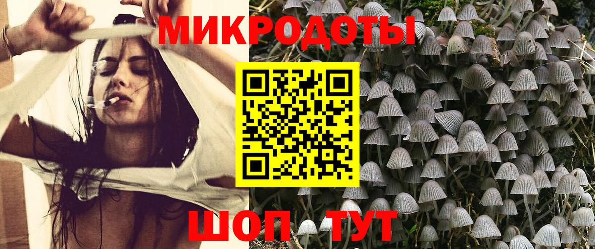 Галлюциногенные грибы GOLDEN TEACHER  Вход с VPN  Гуково 