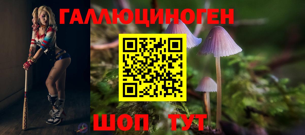 Псилоцибиновые грибы Psilocybine cubensis Гуково